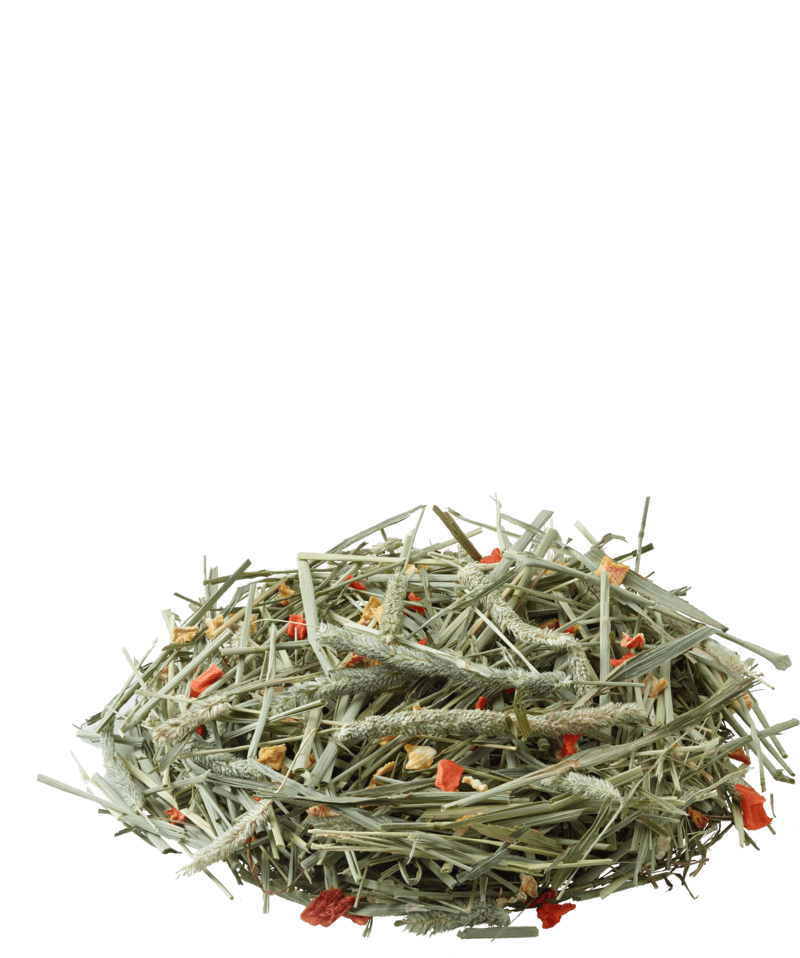 FENO NATURE TIMOTHY HAY CARROT &amp; PUMPKIN - Versele-Laga - 2