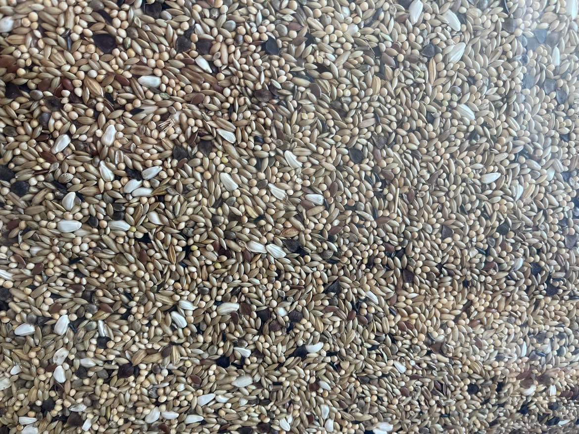 CONCEITO ANIMAL Mistura Agapornis Premium - 2