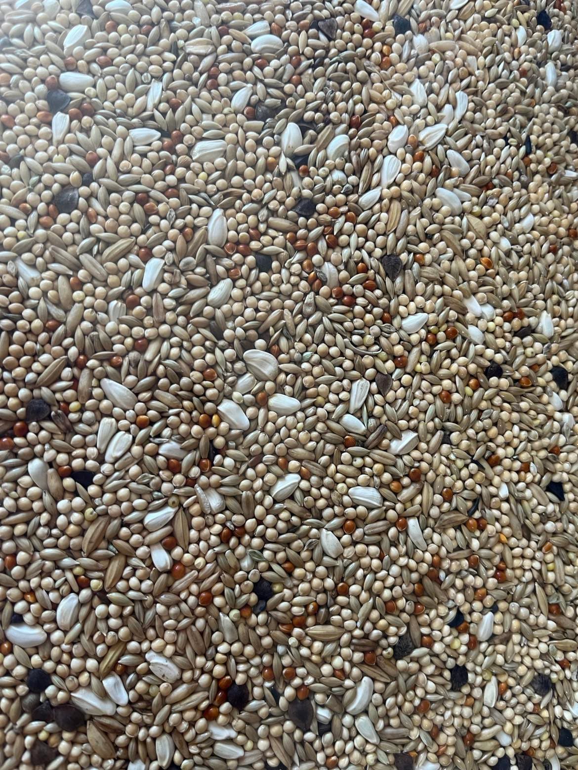 CONCEITO ANIMAL Mistura Agapornis - 2