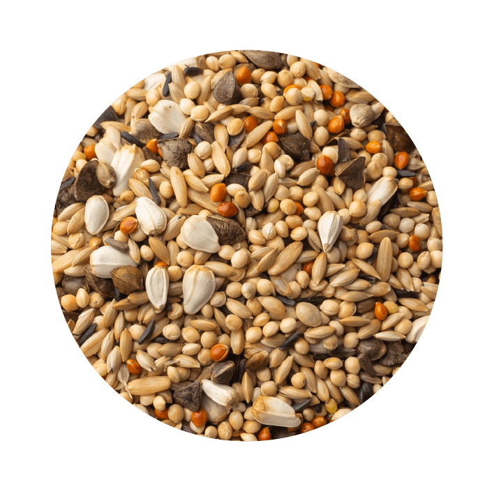 Pet Cup Agapornis Energy - 2