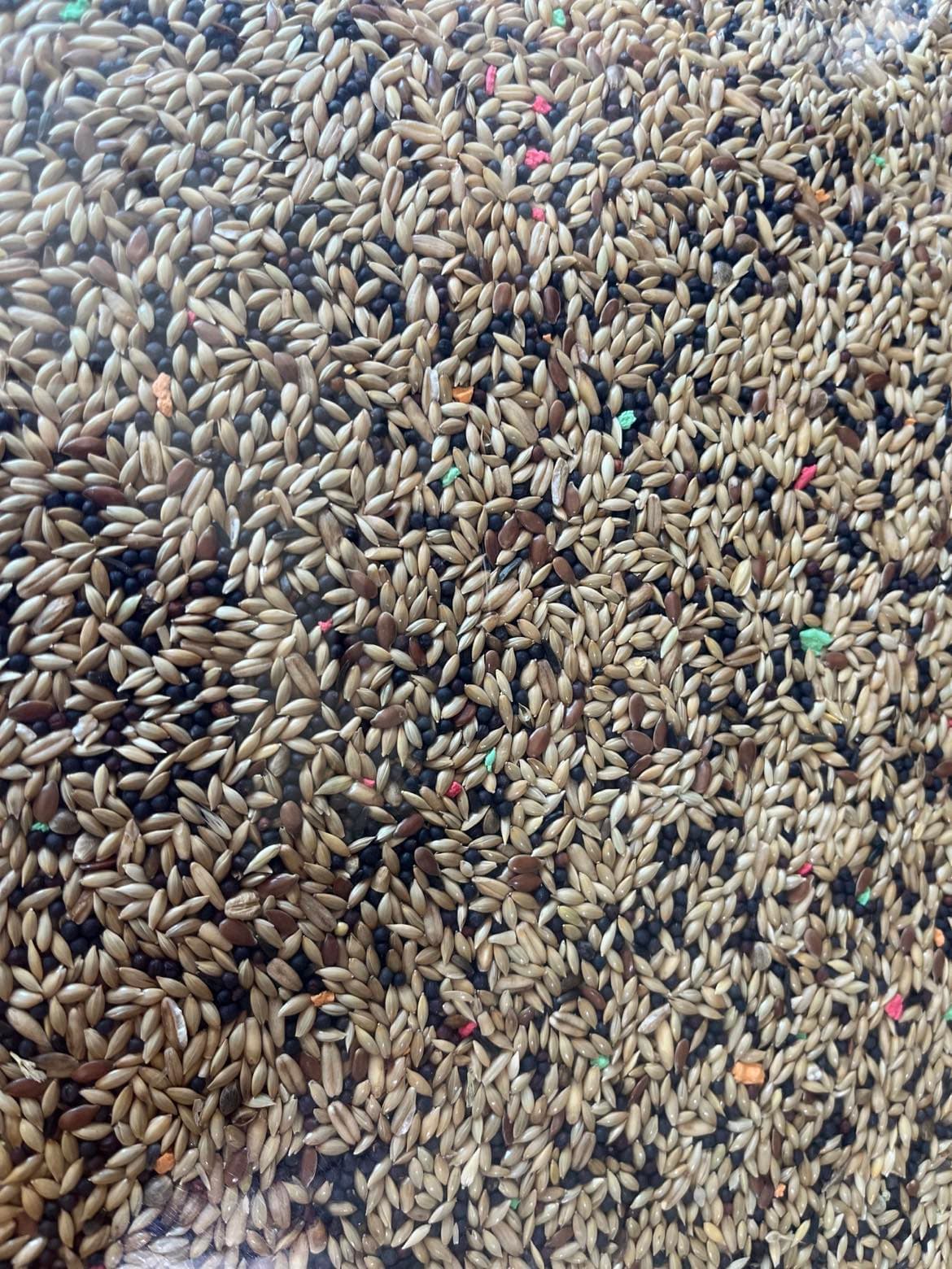 CONCEITO ANIMAL Mistura Canários - 2