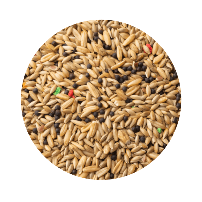 Pet Cup Canário Classic - 2