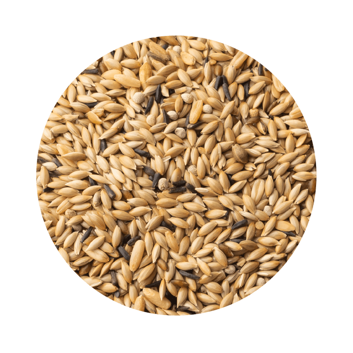 Pet Cup Canário Mosaico Premium - 2