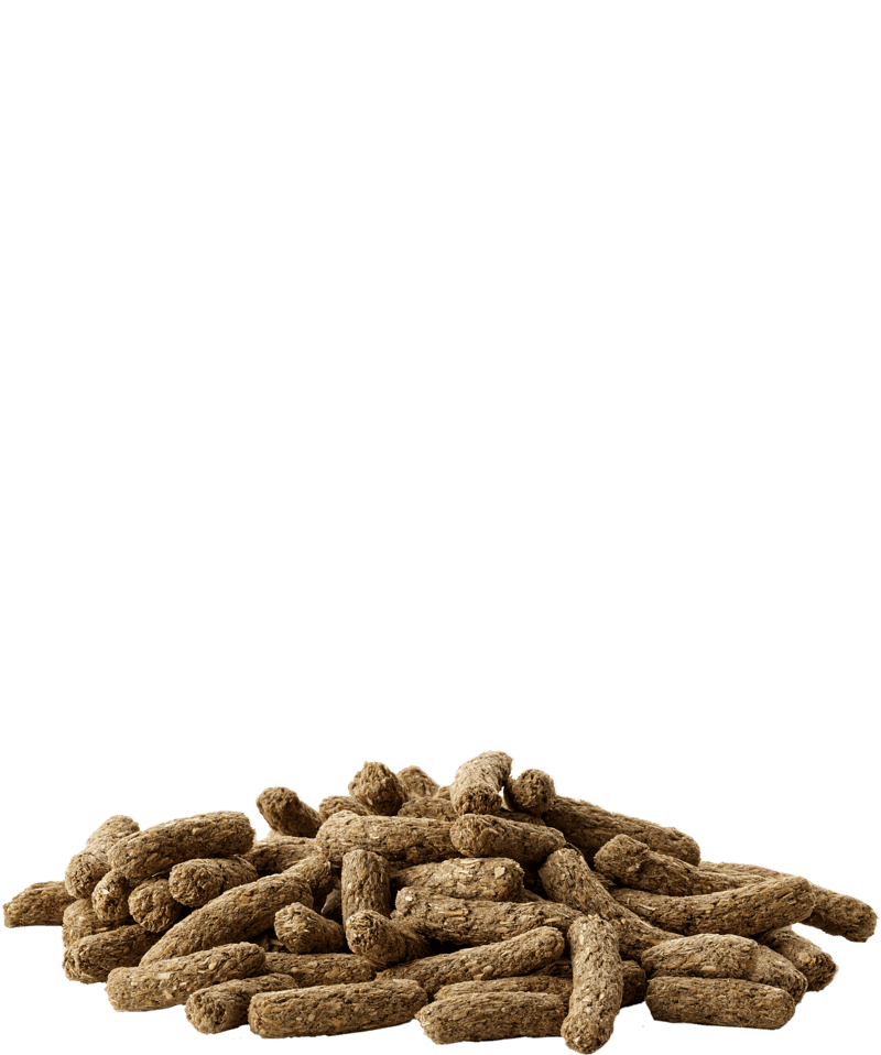 CAVIA Complete - Versele-Laga - 2