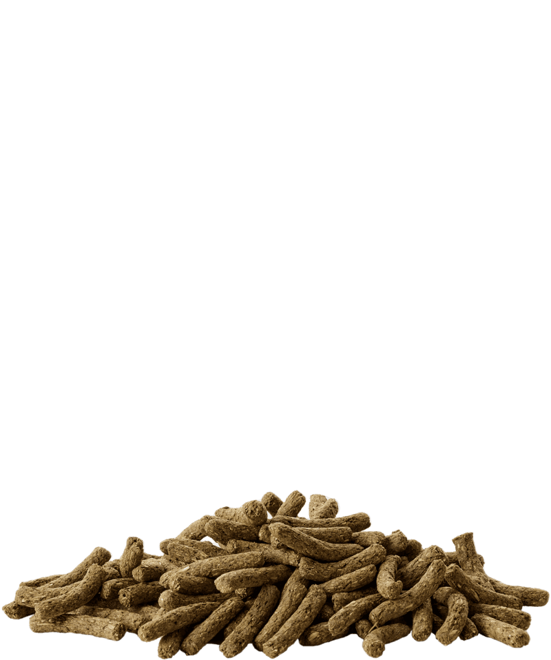 CUNI JUNIOR COMPLETE - Versele-Laga - 2