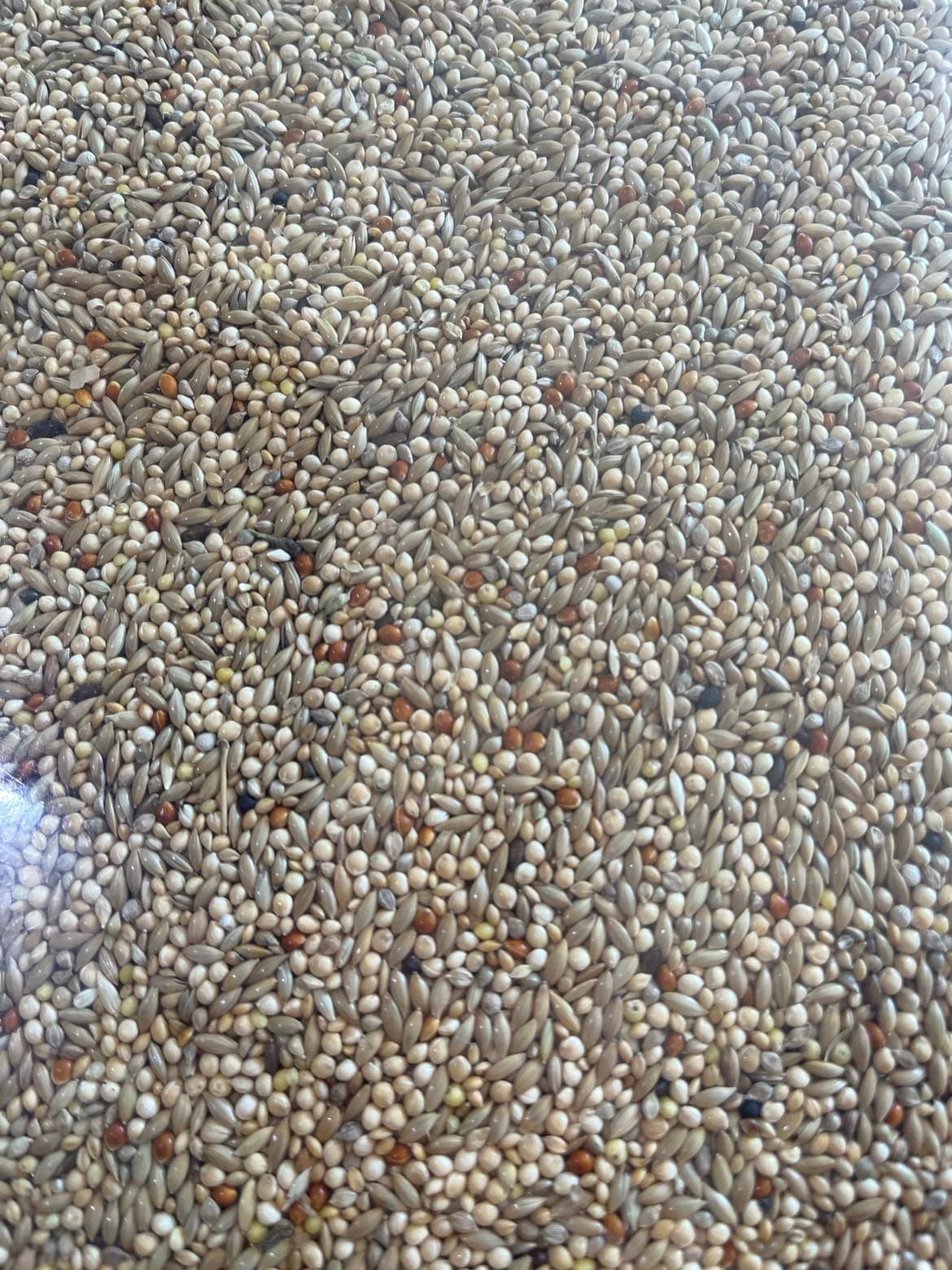 CONCEITO ANIMAL Mistura Exóticos Premium - 2