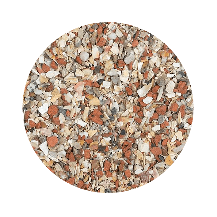 Pet Cup Grite Para Pombos