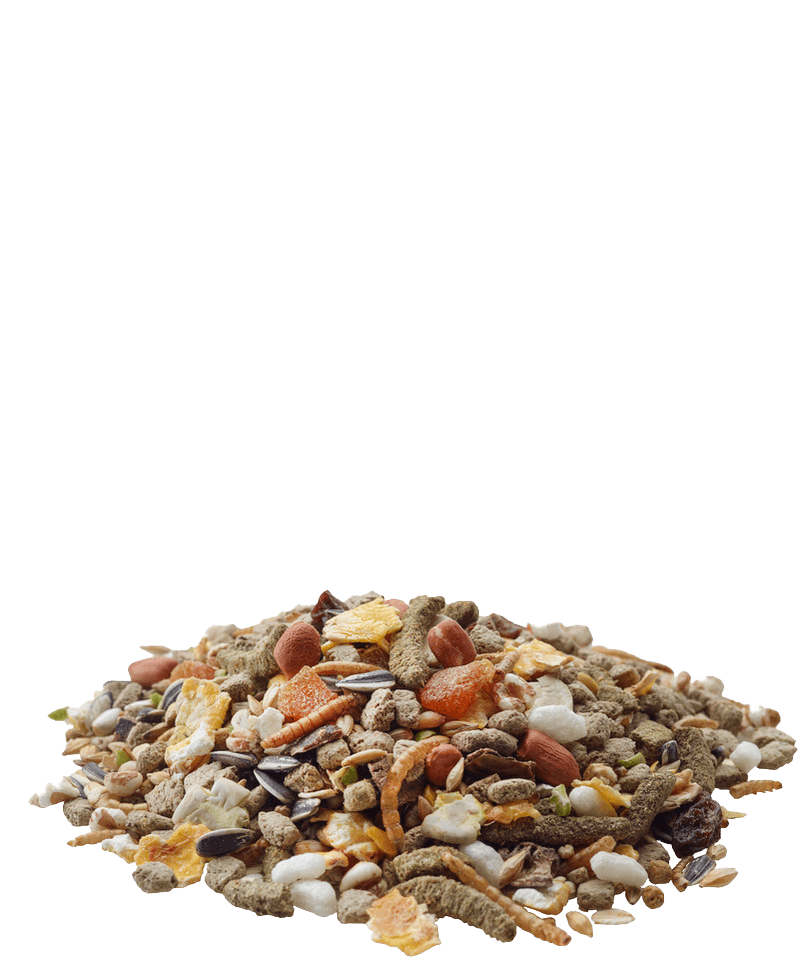 Nature Hamster - Versele-Laga - 2