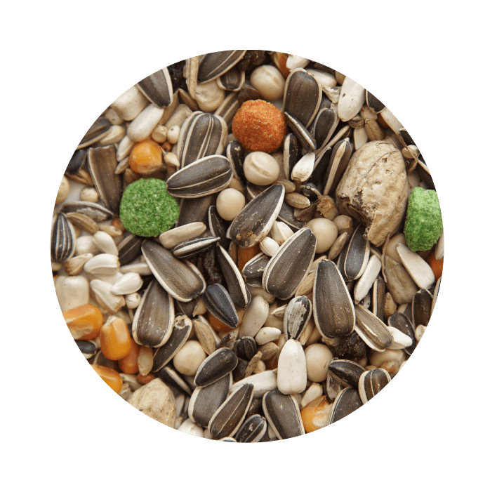 Pet Cup Papagaio Standart - 2