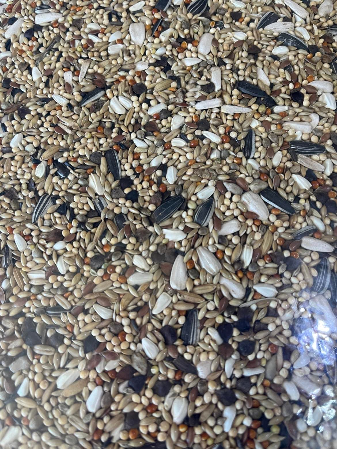 CONCEITO ANIMAL Mistura Psitacídeos Premium - 2