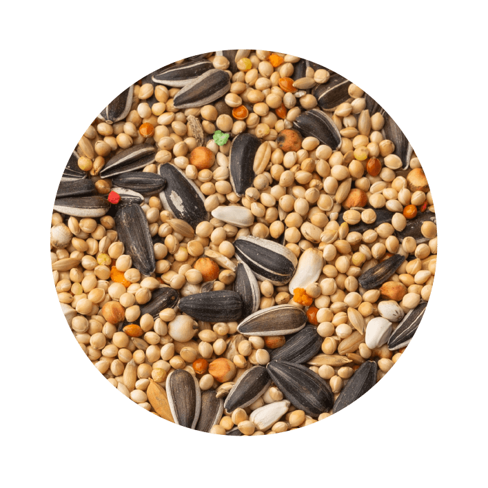 Pet Cup Psitacídeos Classic - 2