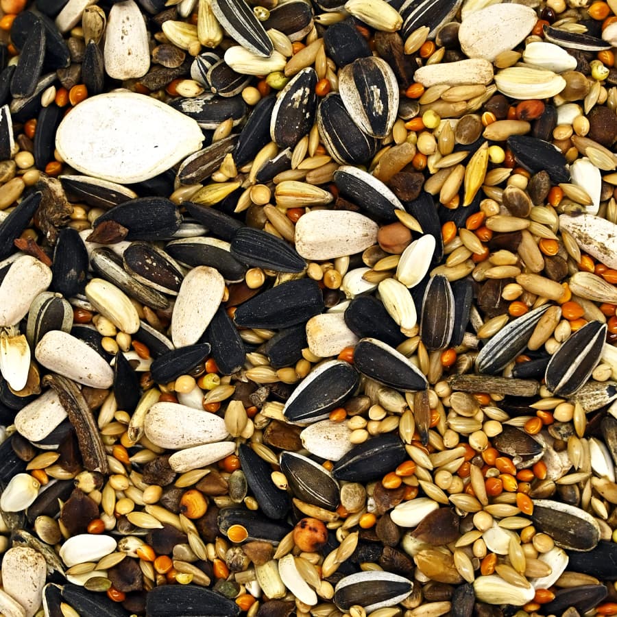 Mistura para Grandes Psitacídeos - Canto Alegre