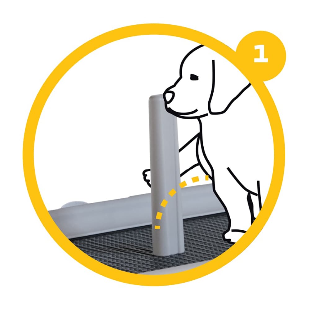 TABULEIRO "PUPPY TRAINING" (PARA RESGUARDOS) - 4