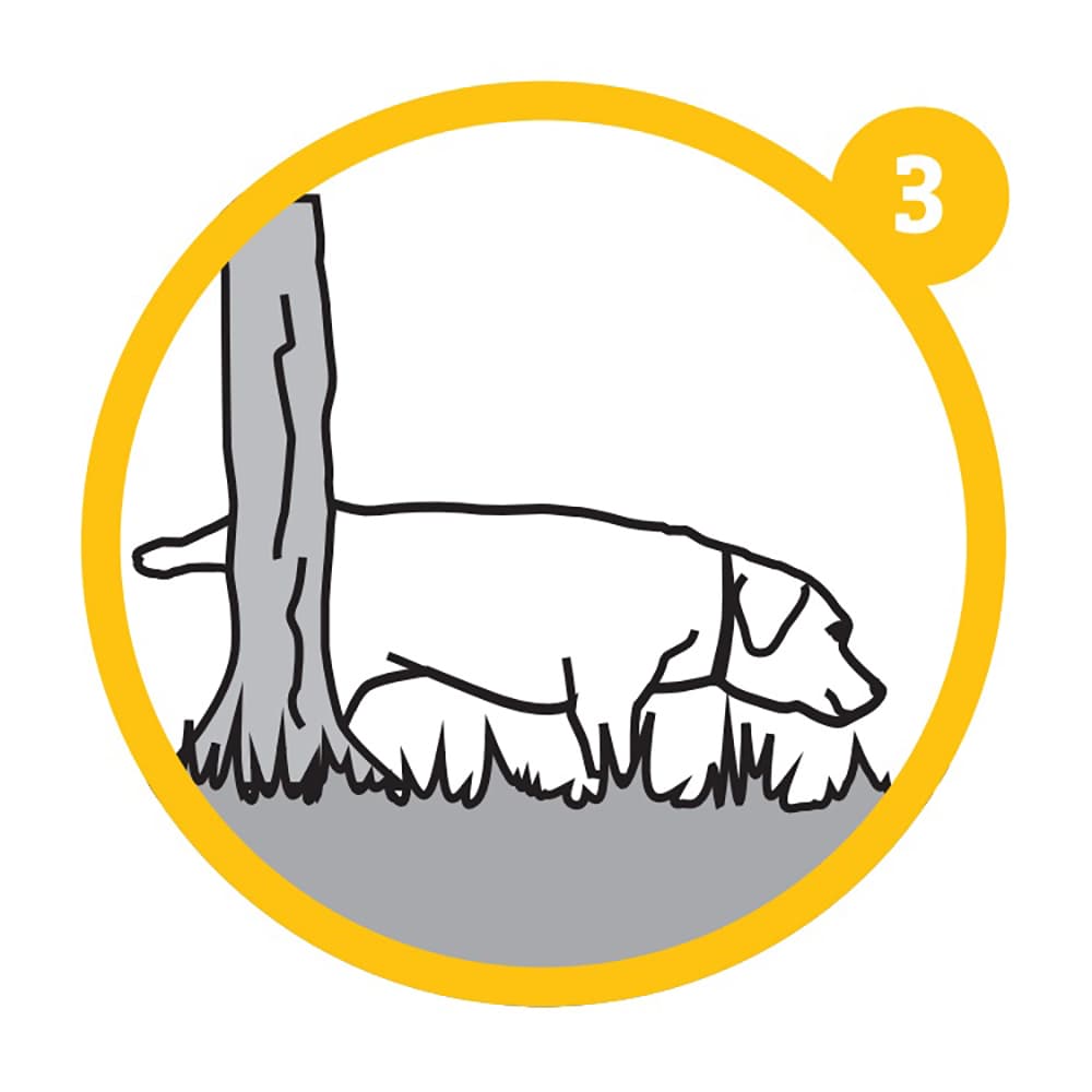 TABULEIRO "PUPPY TRAINING" (PARA RESGUARDOS) - 6