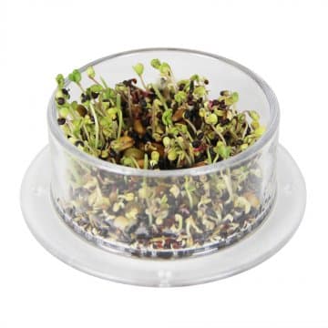 Comedouro Germinado Redondo c/Base - IDIA - 2