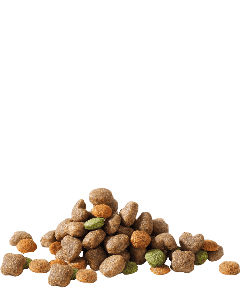 Versele-Laga Happy Life ADULT MINI WITH LAMB Cão adulto - Cordeiro - 2