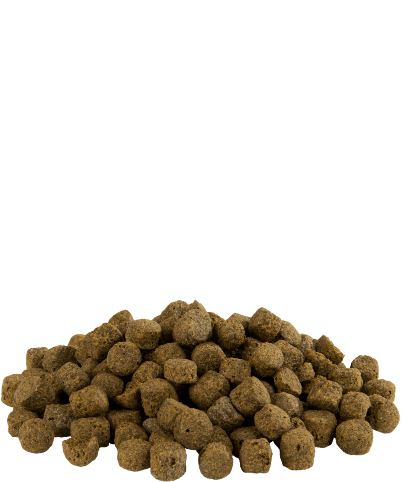 Versele-Laga - KOI LARGE 8 MM - 2