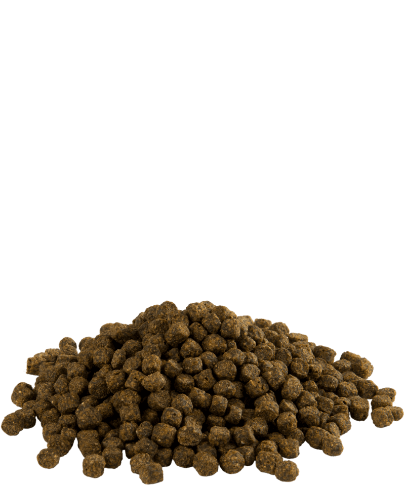 Versele-Laga-KOI MEDIUM 4 MM - 2