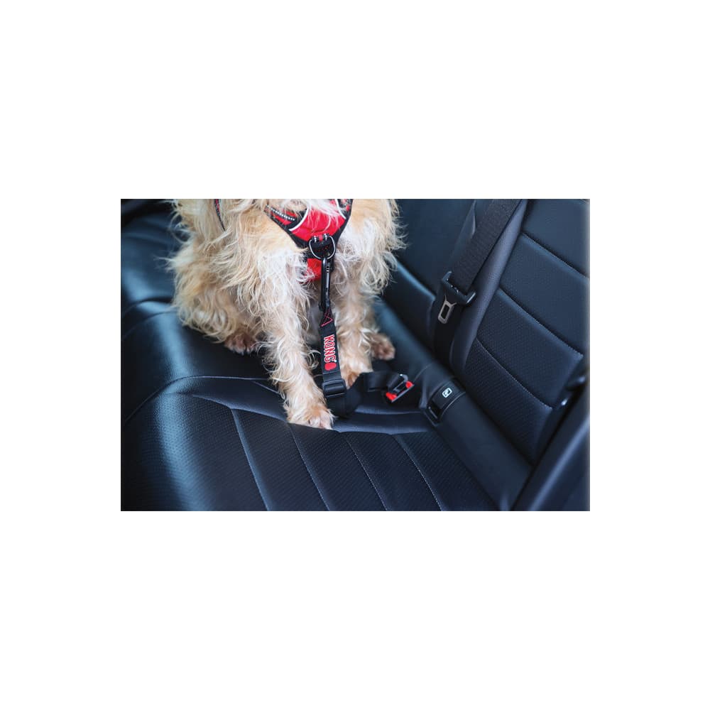 Cinto de segurança - KONG - 3