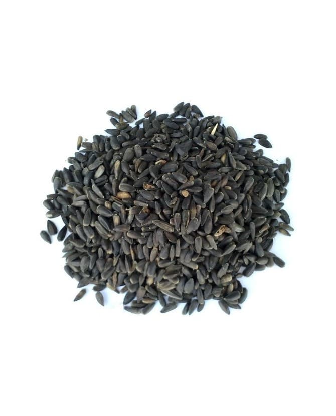 Girassol Micro Preto para aves - Conceito Animal