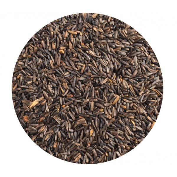 Níger para aves - Conceito Animal