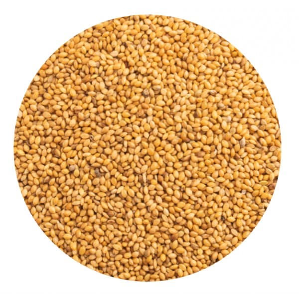 Painço Amarelo para aves - Conceito Animal