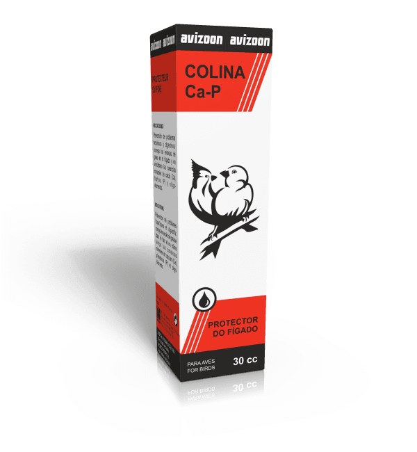 COLINA Ca/P líquido - Avizoon
