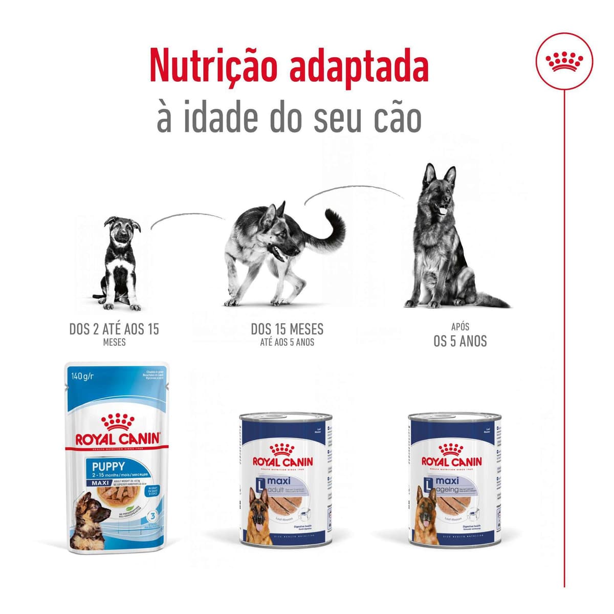 Royal Canin - Comida Húmida para Cão Adulto Maxi - 4