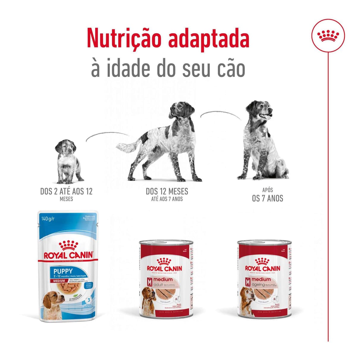 Royal Canin  - Comida Húmida para Cão Adulto Médio - 4
