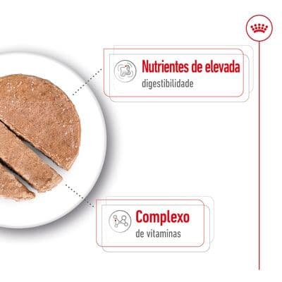 Royal Canin - Comida Húmida para cão porte pequeno - 3