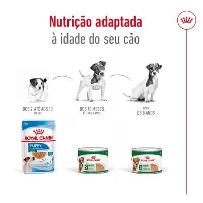 Royal Canin - Comida Húmida para cão porte pequeno - 4