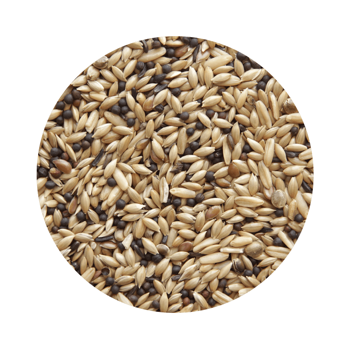 Pet Cup Canário Dieta Classic