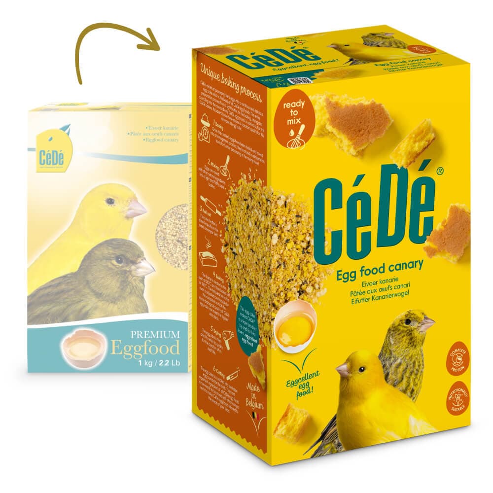 CéDé - Papa de ovo para Canários - 2