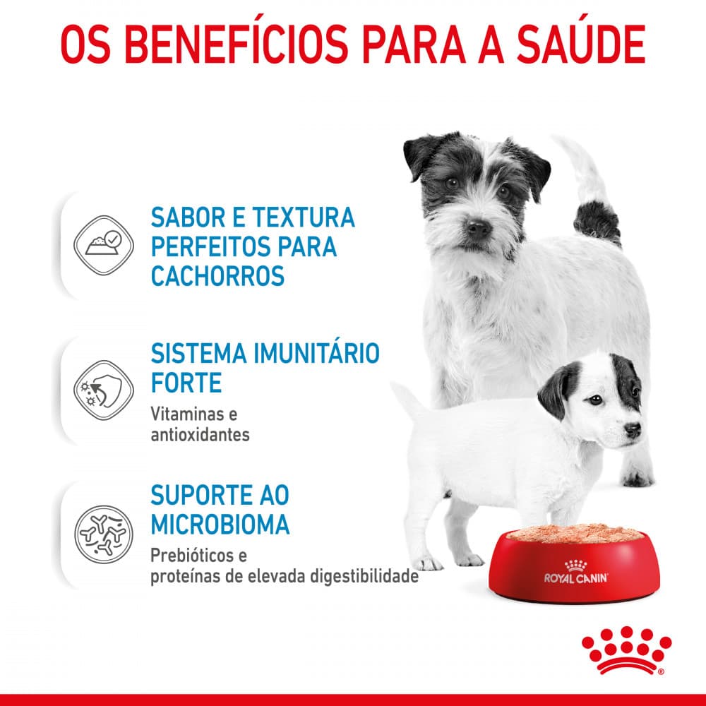 Royal Canin Mother &amp; Babydog Starter - Em mousse - 3
