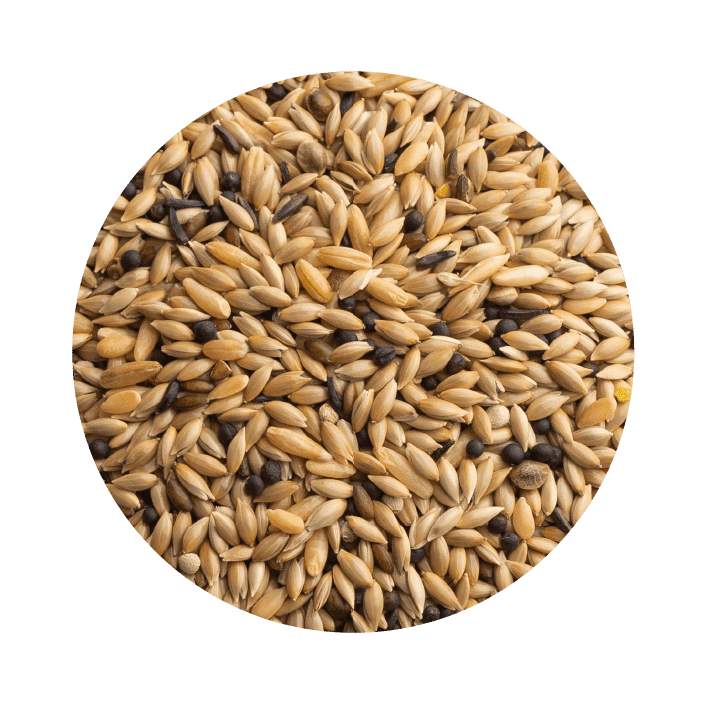 Pet Cup Canário Dieta Premium - 2