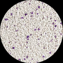 Catfield Pro Elements Lavanda - 2