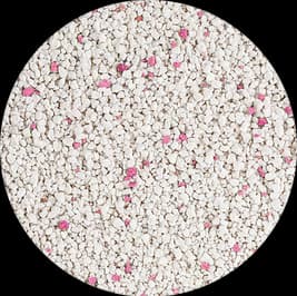 Catfield Pro Elements Talco - 4