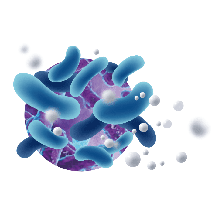 Pet Cup Floratonic - 3