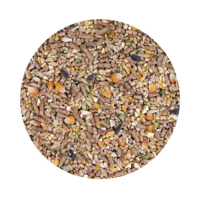 Pet Cup Mistura Frangas Recria - 2