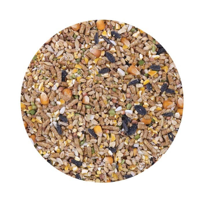 Pet Cup Mistura Galinhas Poedeiras - 2