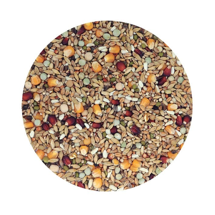 Pet Cup Mistura Galos Manutenção - 2