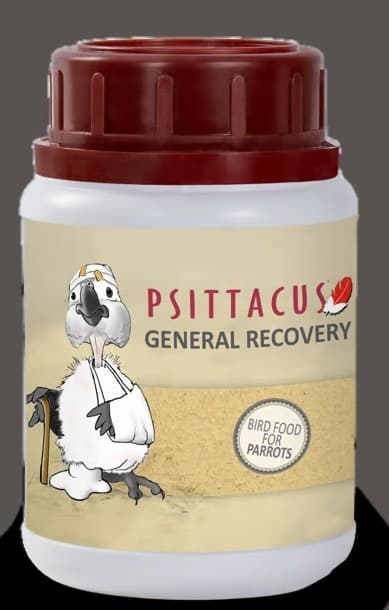 Psittacus General Recovery