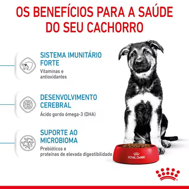 Royal Canin PUPPY - MAXI - 2