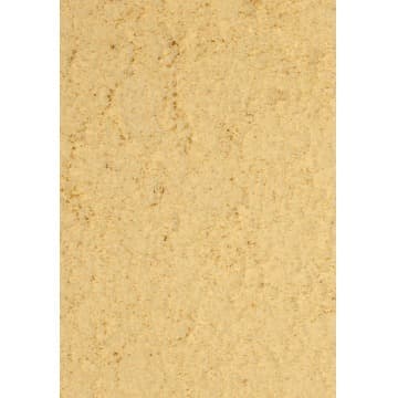 Psittacus General Recovery - 2