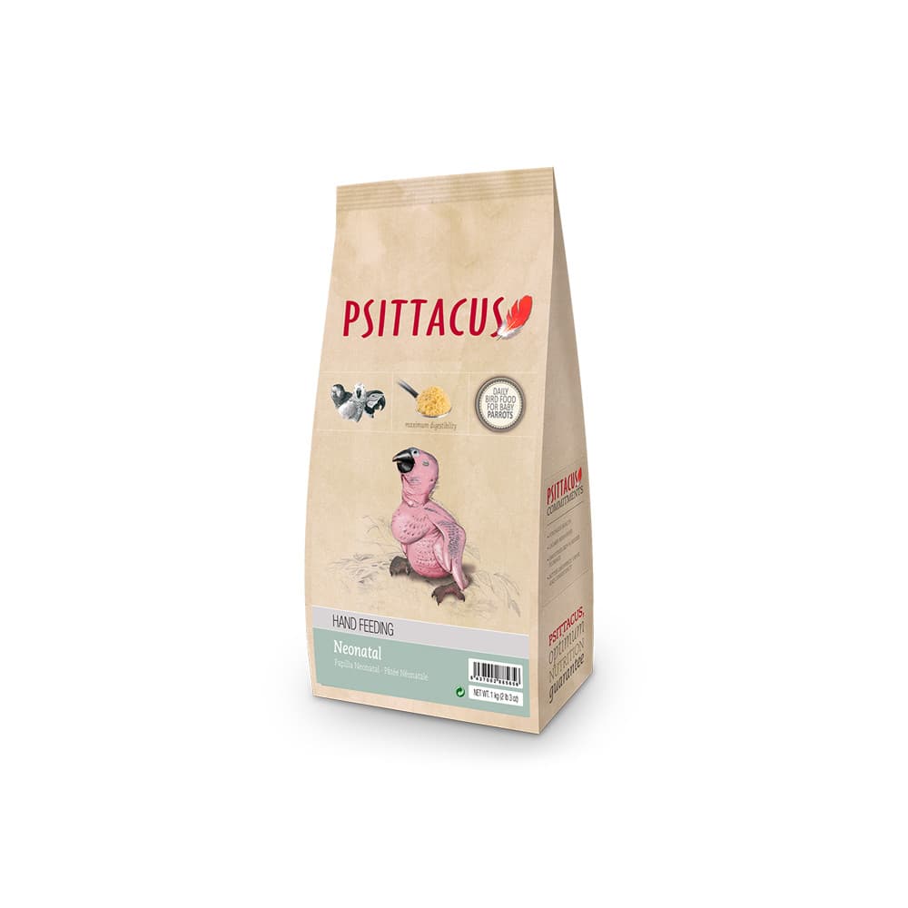 PSITTACUS PAPA NEONATAL