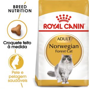 https://conceitoanimal.pt/wp-content/uploads/2023/11/royal-canin-norwegian-forest-racao-seca-para-gato-de-raca-300x300.jpg