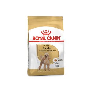 https://conceitoanimal.pt/wp-content/uploads/2023/11/royal-canin-poodlecaniche-adult-racao-seca-para-cao-de-raca-1-300x300.jpg