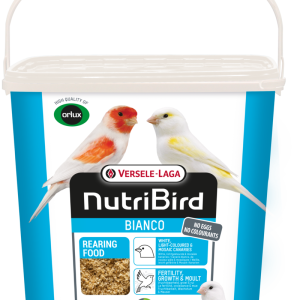 https://conceitoanimal.pt/wp-content/uploads/2025/04/bianco4-300x300.png